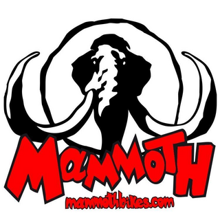 mammothbikes.com